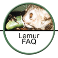 Lemur FAQ